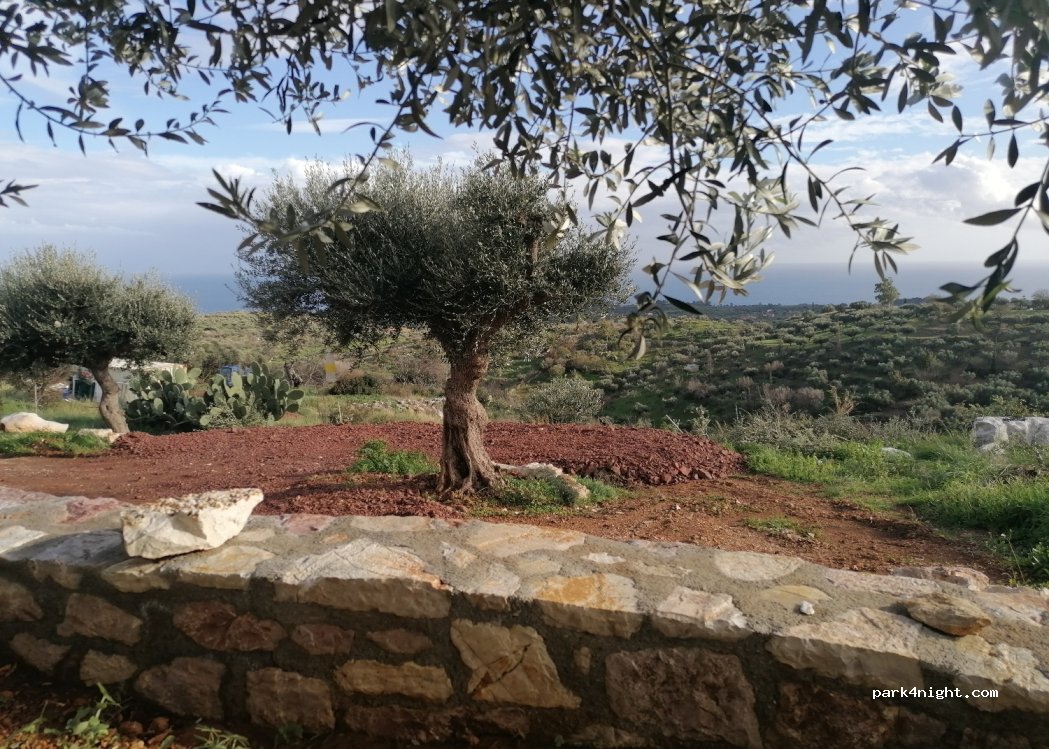 (240 04) Vasilitsi - 1 Maroula — foto