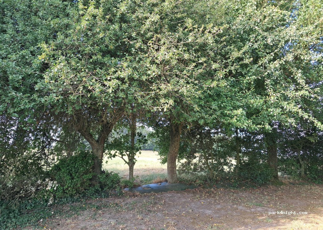 (35150) Amanlis - 1 La Chapelle Sainte Anne — foto 2