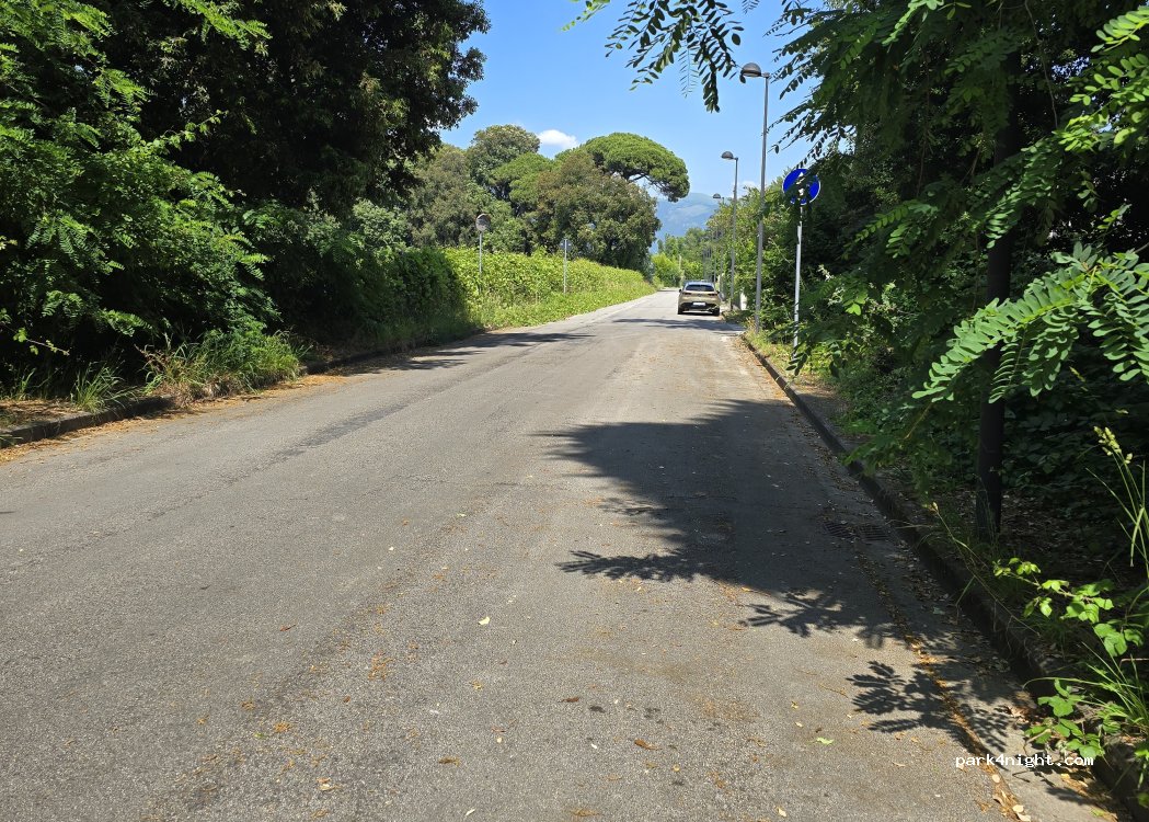 (55041) Camaiore - 3 Via Ludovico Ariosto — foto 2