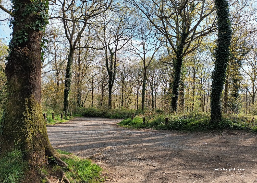 (TQ11 0EL) Buckfastleigh - Unnamed Road — foto 2