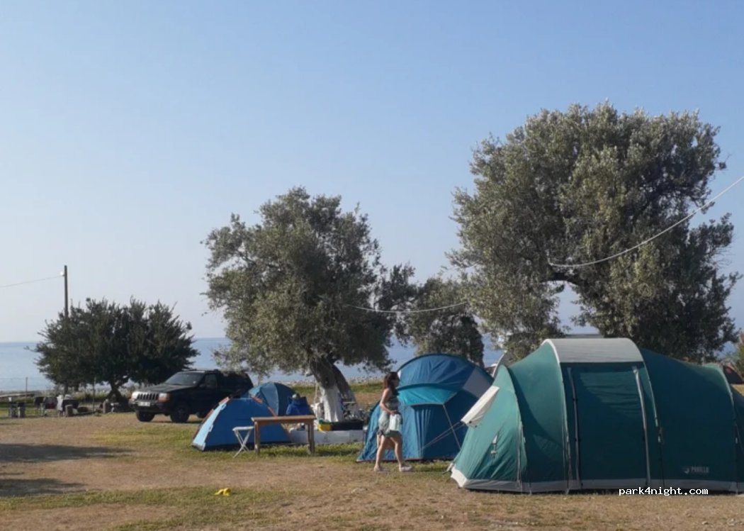 Salyangoz Camping — foto 4