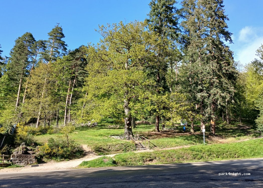 (68750) Bergheim - 27 Route du Haut Koenigsbourg — foto 2