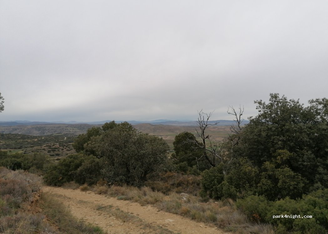 (50548) El Buste - Unnamed Road — foto