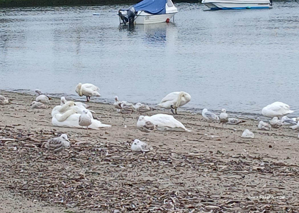 (A98 D308) Bray - Strand Rd — foto 3