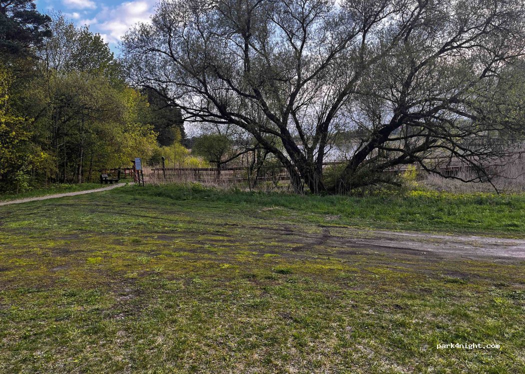 (11-710) Piecki - Unnamed Road — foto
