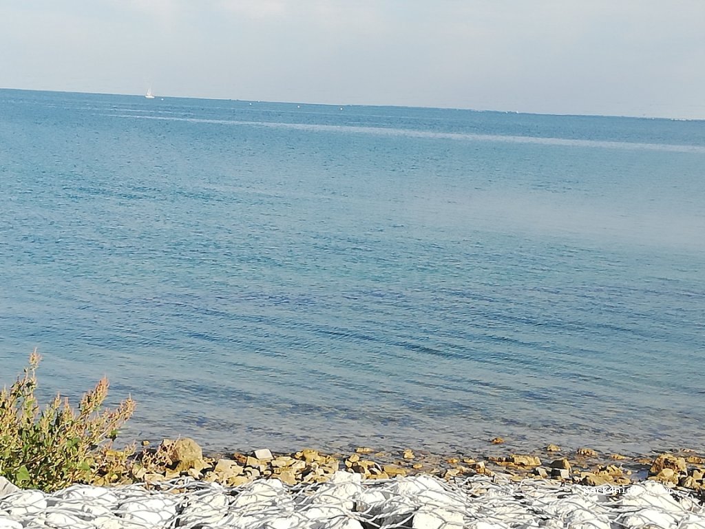 (17630) La Flotte - Le Haut Marais — foto 3