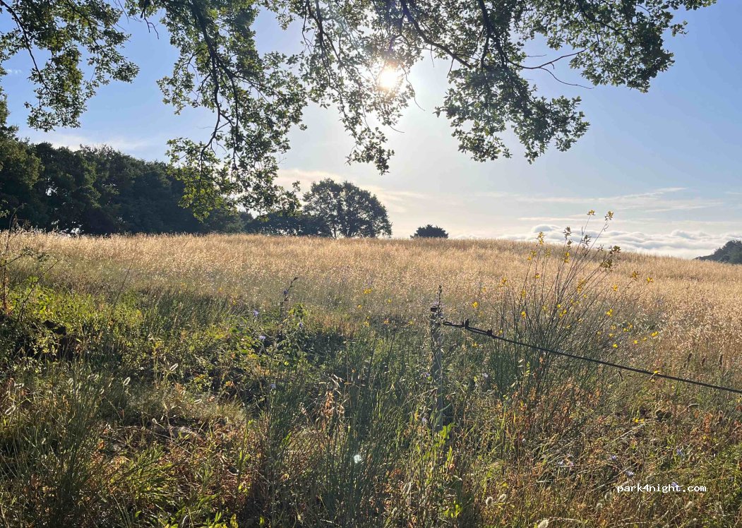 (53042) Chianciano Terme - 11 Strada della Foresta — foto 4