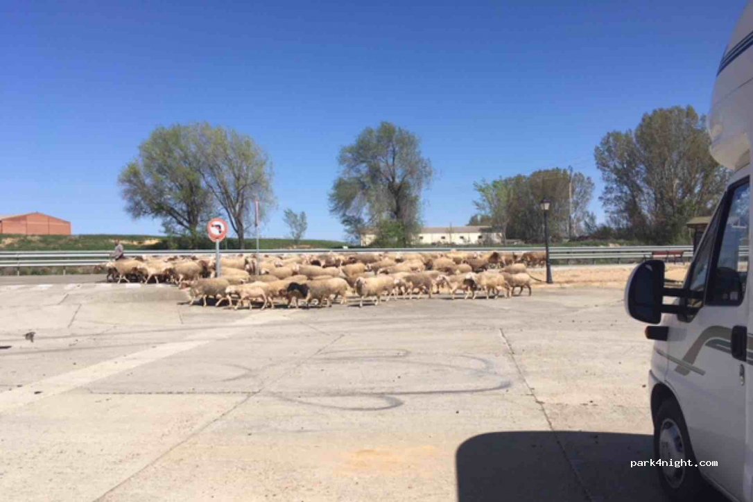(34310) Becerril de Campos - 4 Carretera Monzón — foto