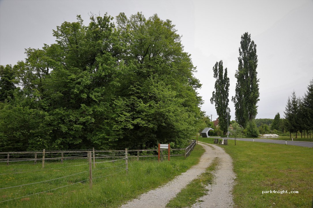 (3255) Vrenska Gorca - 68 Vrenska Gorca — foto