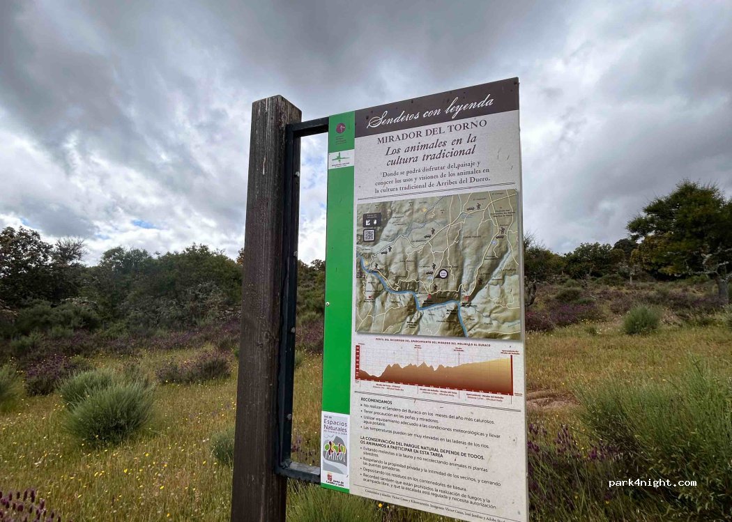 (37246) Sobradillo - Unnamed Road — foto 2