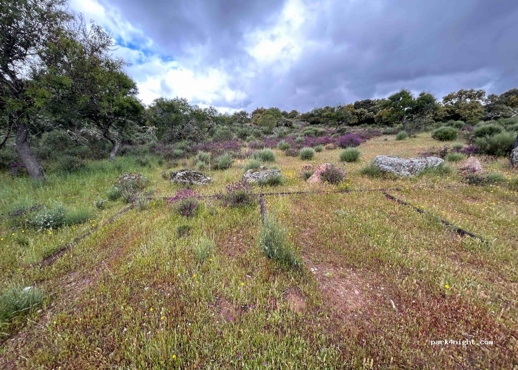 (37246) Sobradillo - Unnamed Road — foto 3
