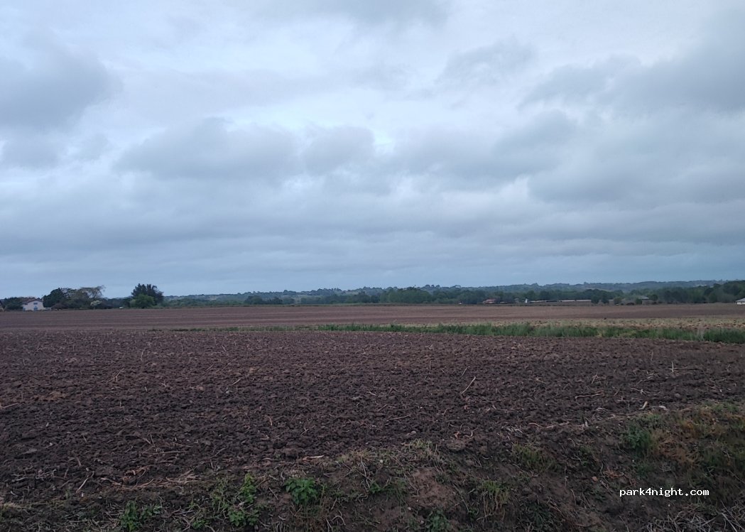 (40700) Saint-Cricq-Chalosse - 987 Route d'Amou — foto