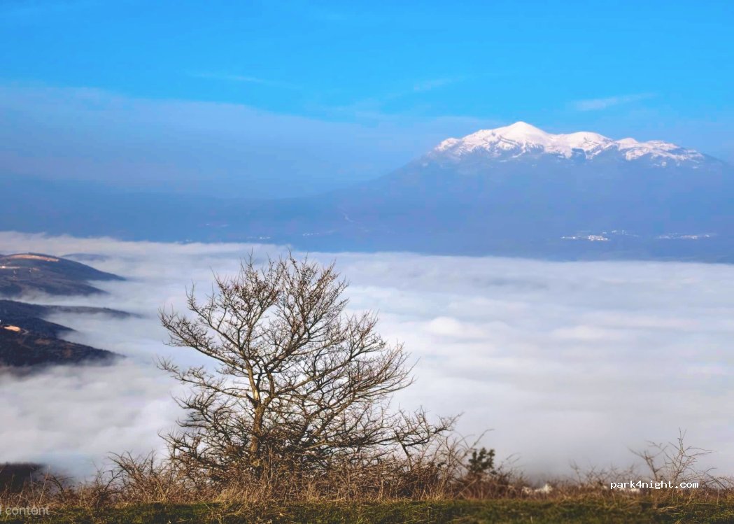 (20520) Hoçë e Qytetit - — foto 4