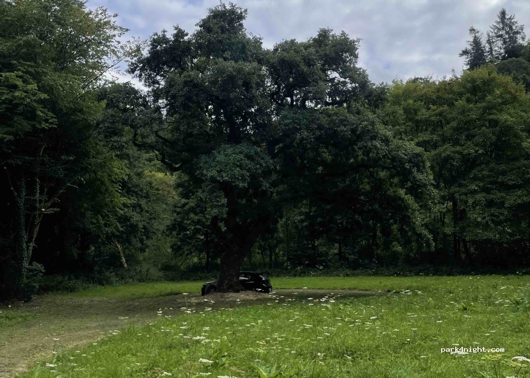 (6830) Bouillon - 4 Cordemois — foto