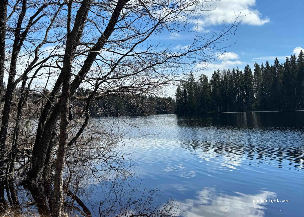 (31350) Letku - 286 Kanteluksentie — foto 2