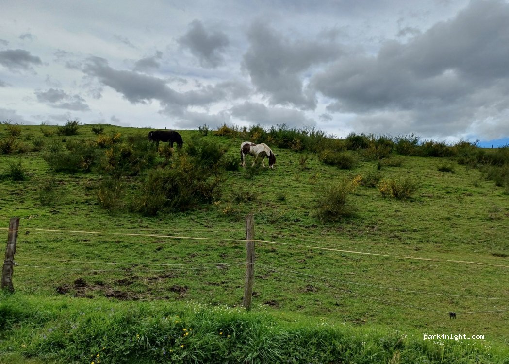 (52223) Stolberg - 110 Breiniger Berg — foto 2