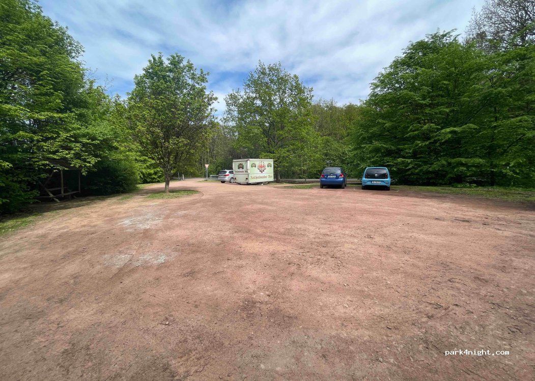 (09306) Rochlitz - Rochlitzer Berg — foto 4
