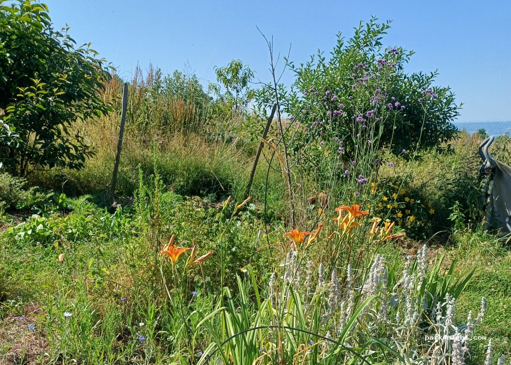 (38260) Gillonnay - 1560 Chemin de Poulardière — foto 3