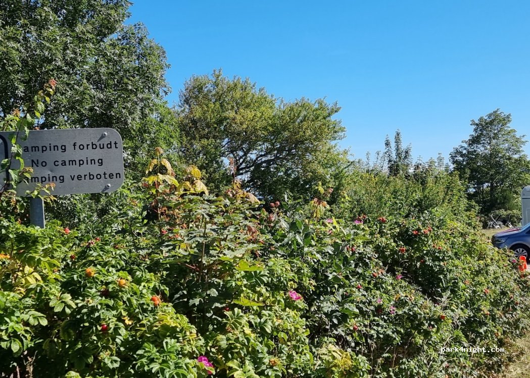 (5500) Middelfart - 3 Nørre Alle — foto 3