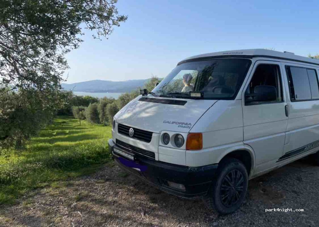 (06063) Montecolognola - SP 314 — foto 2