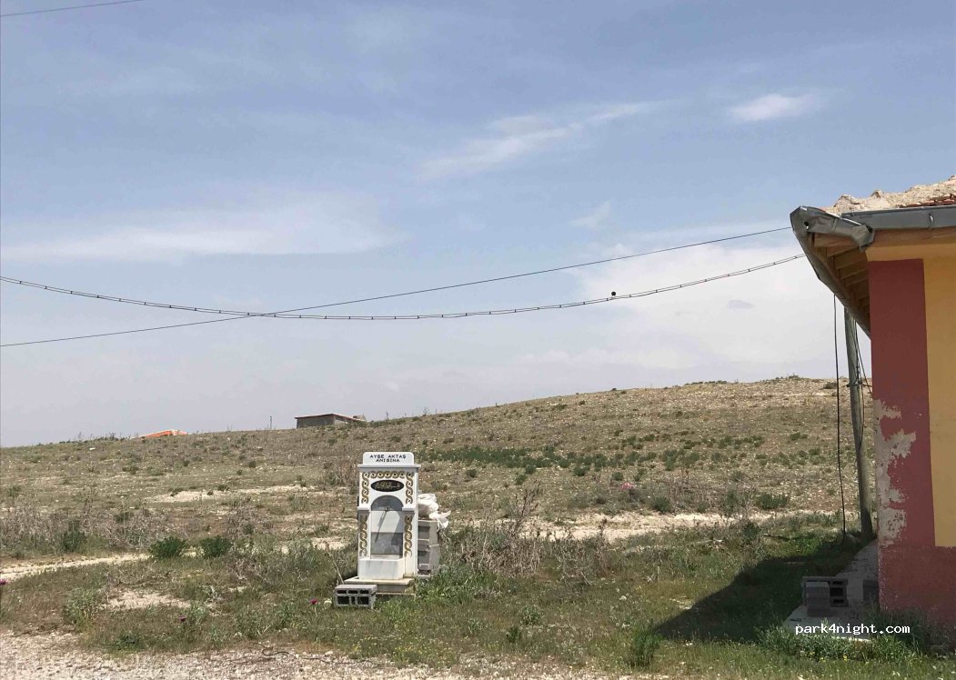 (42400) Karapınar - Eskil Karapinar Yolu — foto