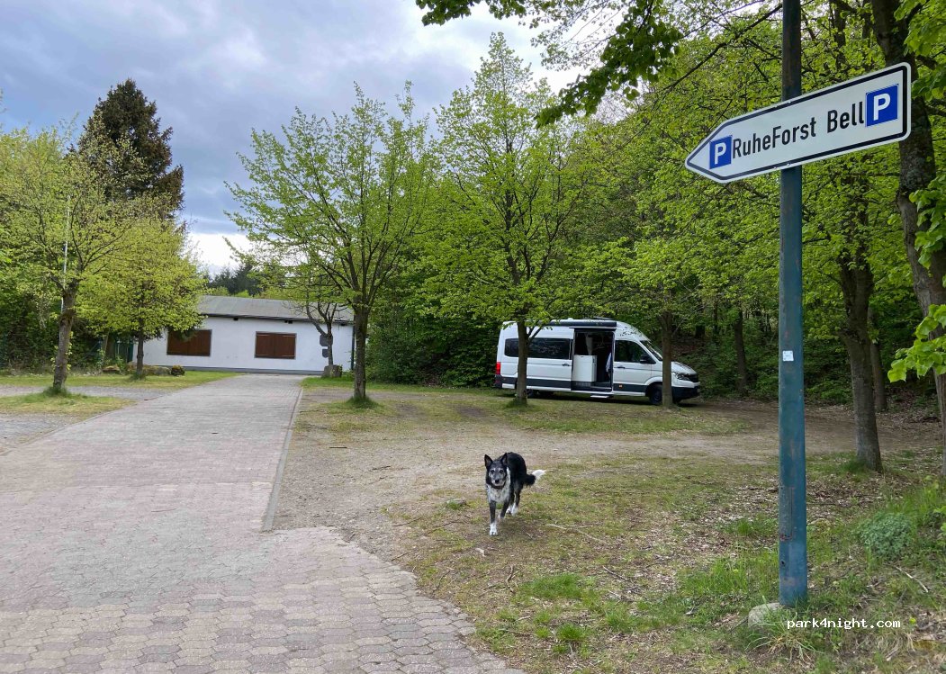 (56745) Bell - — foto 2