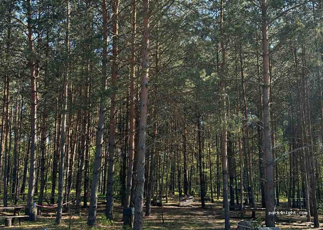 Ostoja Leśna Pod Sosnami — foto