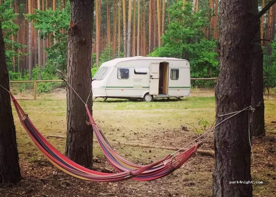 Ostoja Leśna Pod Sosnami — foto 3