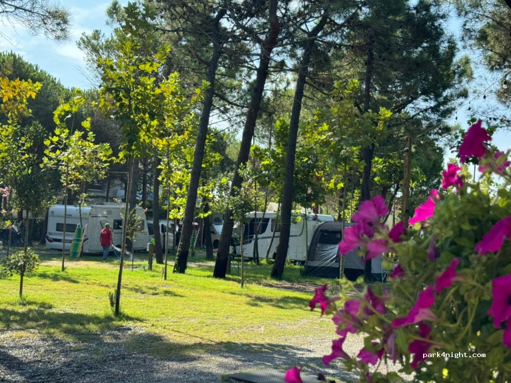 Camping Familja Albania — foto 5