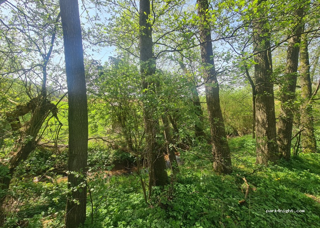 (35066) Frankenberg (Eder) - Unnamed Road — foto