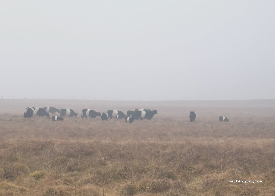 (NE19) Elsdon - — foto 2