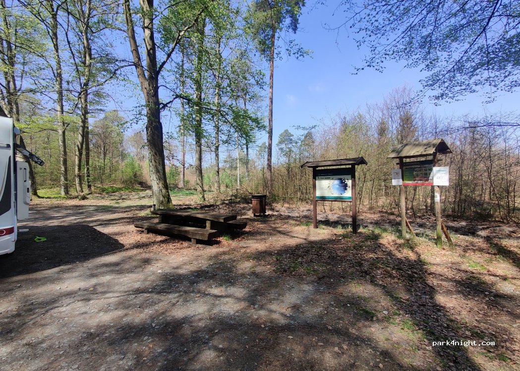 (64-980) Trzcianka - — foto
