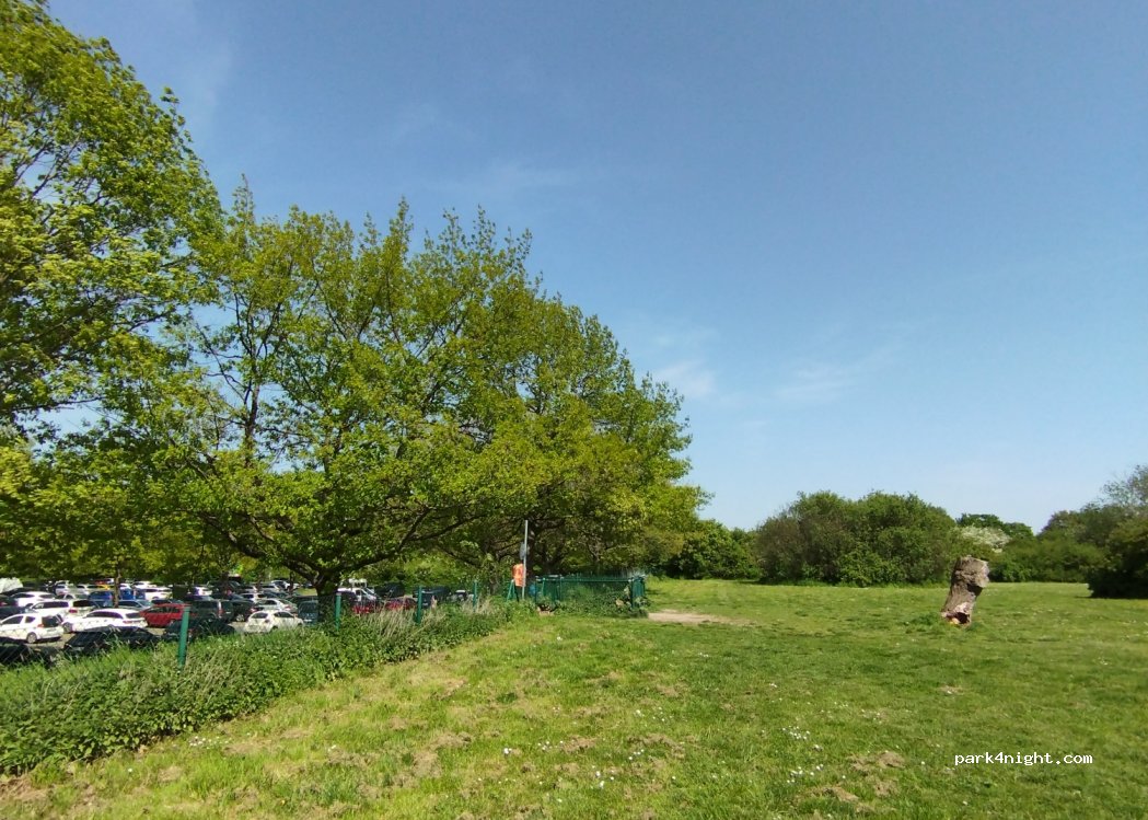 (38228) Salzgitter - 70 Humboldtallee — foto 2