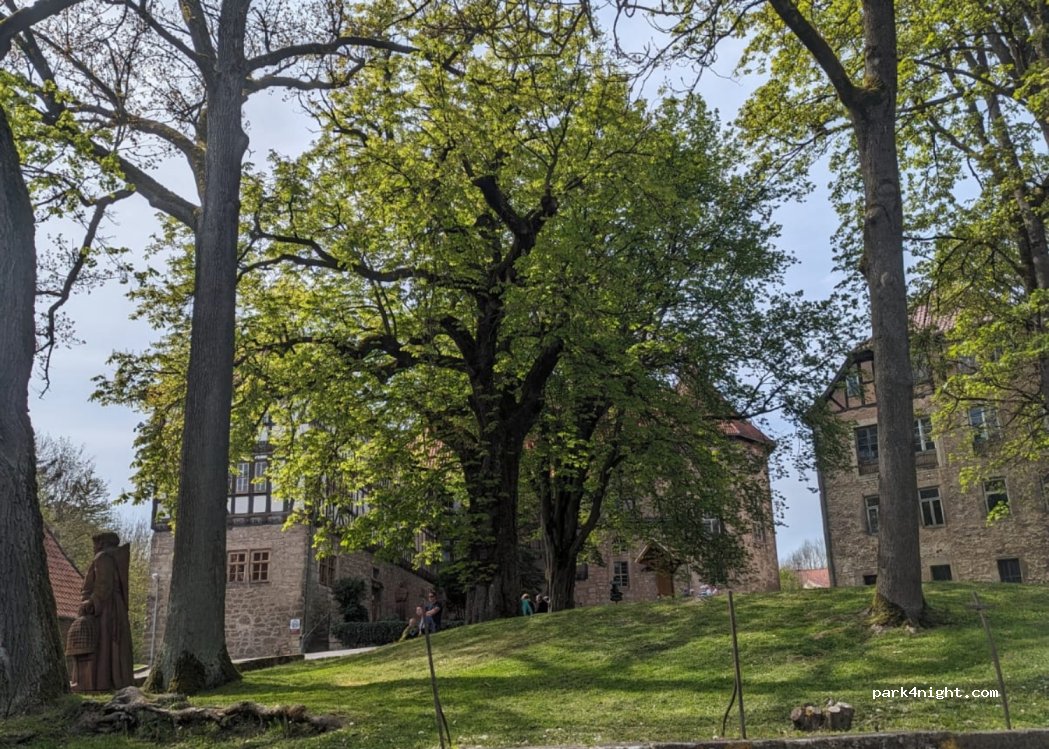 (37351) Anrode - 9 Klosterstraße — foto 2