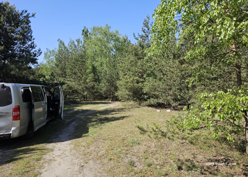 (87-100) Toruń - 25 Morwowa — foto