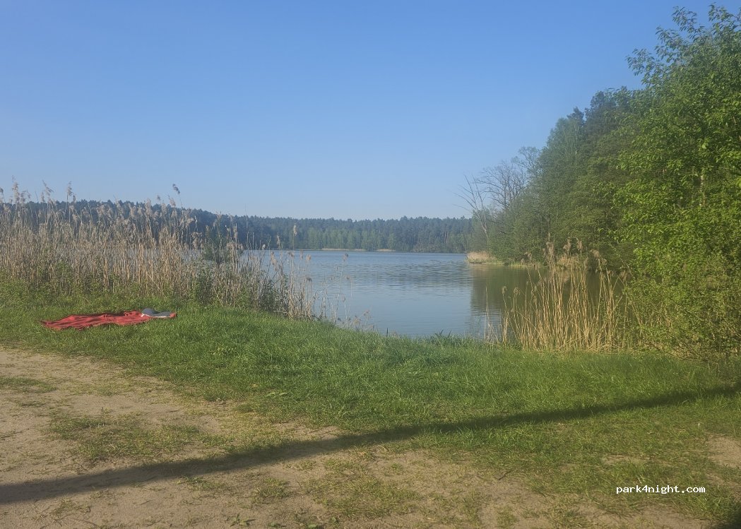 (86-150) Tleń - — foto