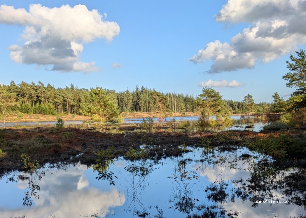 (7190) Billund - 6 Koldingvej — foto 4