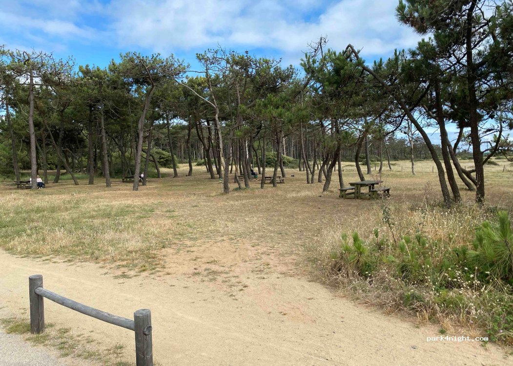 (85470) Bretignolles-sur-Mer - 50 Rue du Gournail — foto 3