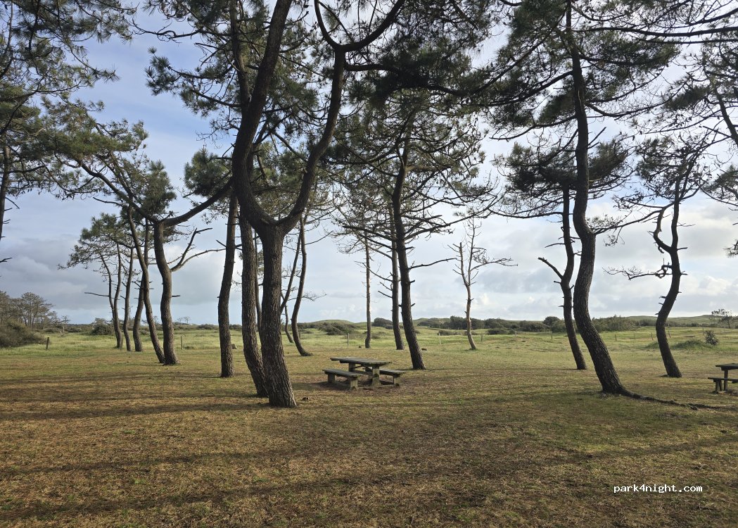 (85470) Bretignolles-sur-Mer - 50 Rue du Gournail — foto 4