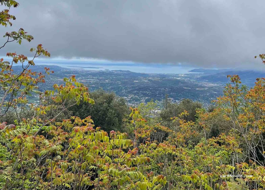 (06130) Grasse - — foto