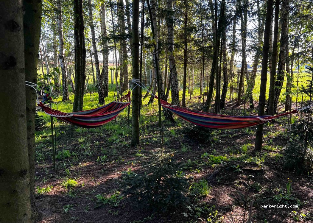 Pole namiotowe Na Haczyku — foto 4