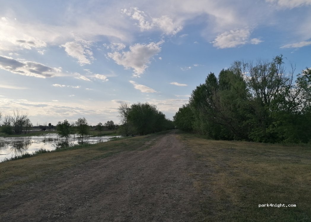 (416174) Belyi Il'men' - — foto 2