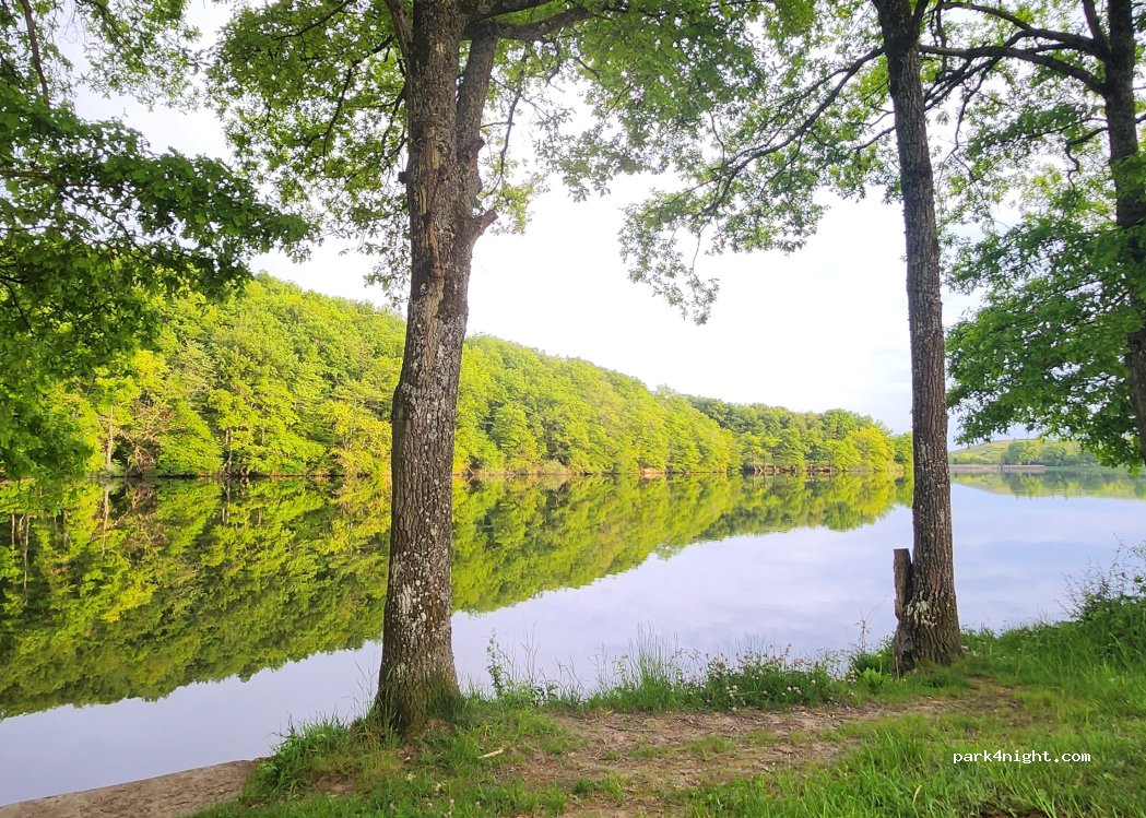 (71670) Le Breuil - Les Bruyéres — foto 4