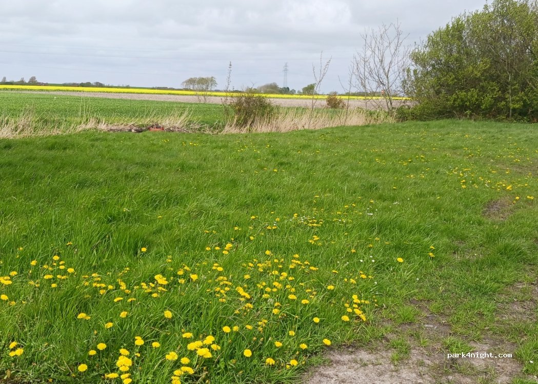 (26506) Norden - 2 Wiebens Trift — foto 2