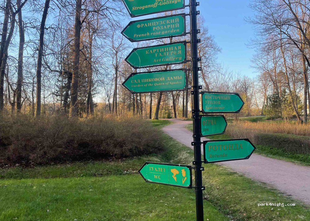 (187031) Tarasovo - Unnamed Road — foto 2