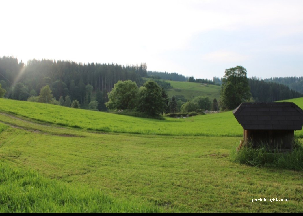 (78141) Schönwald im Schwarzwald - 4 Prisen — foto 2