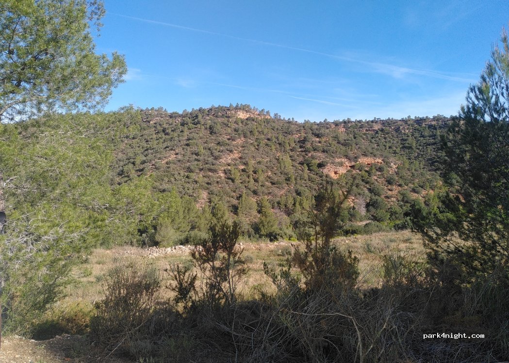 (43592) Xerta - — foto 3