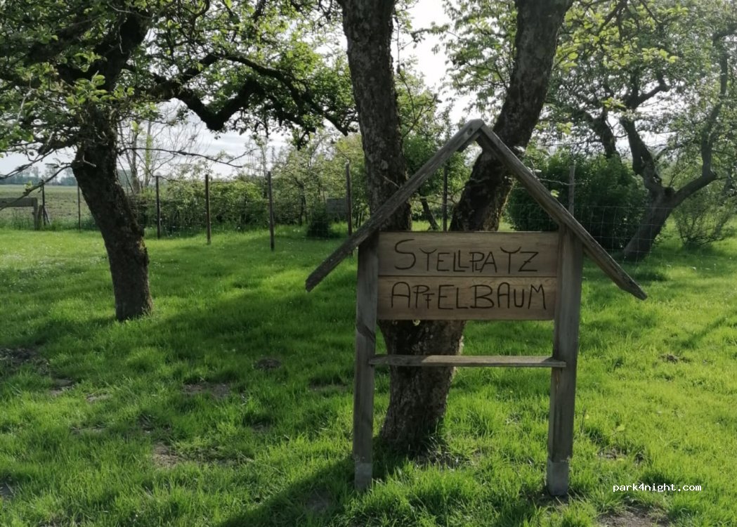 Stellplatz Apfelbaum — foto 2