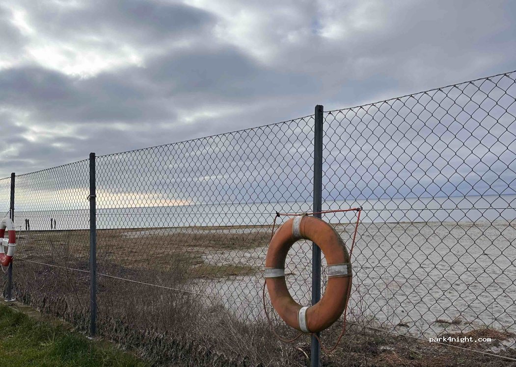 Mosede Fiskerihavn — foto 5