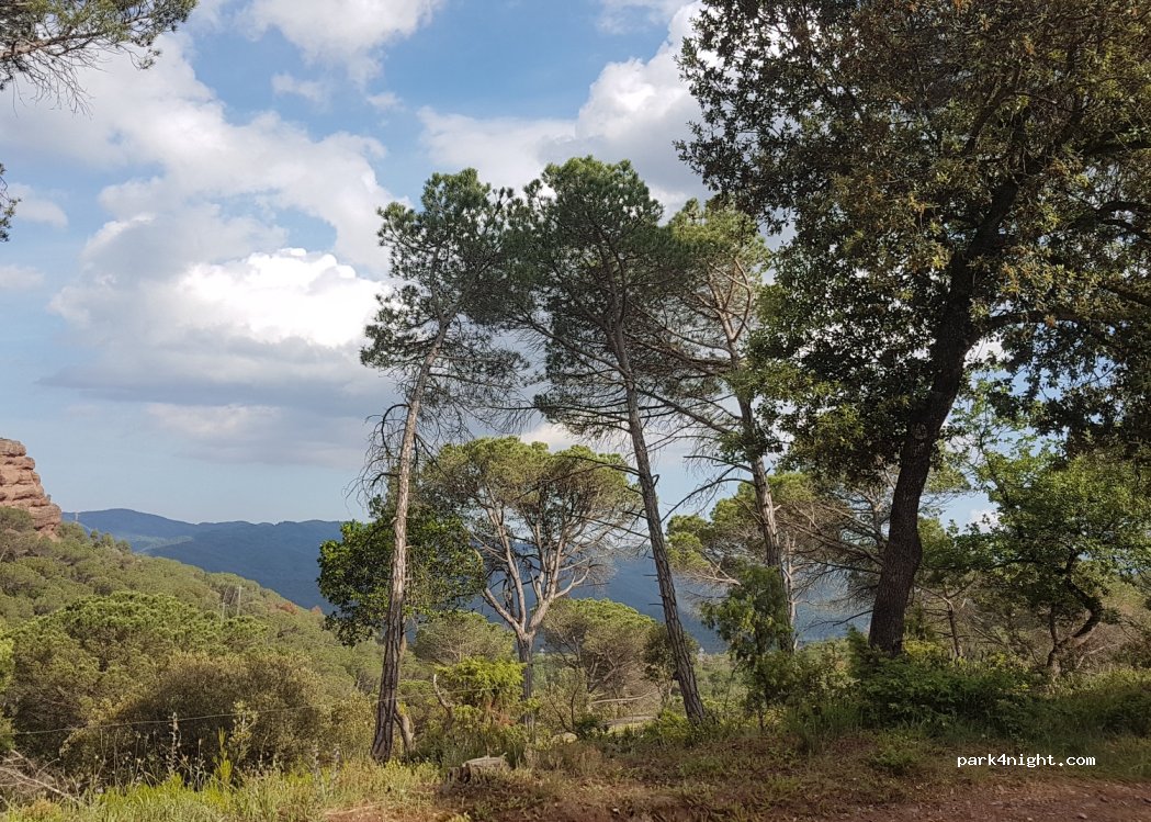 (08519) Vilanova de Sau - — foto 4